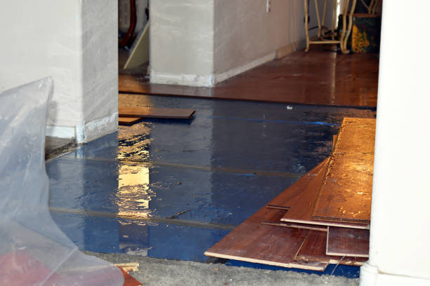 Professional Water Damage Repair technician working in Hilbert, WI